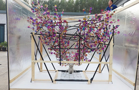 展会物流-11年经验，汇利达提供国际展品运输一条龙服务！(图1)